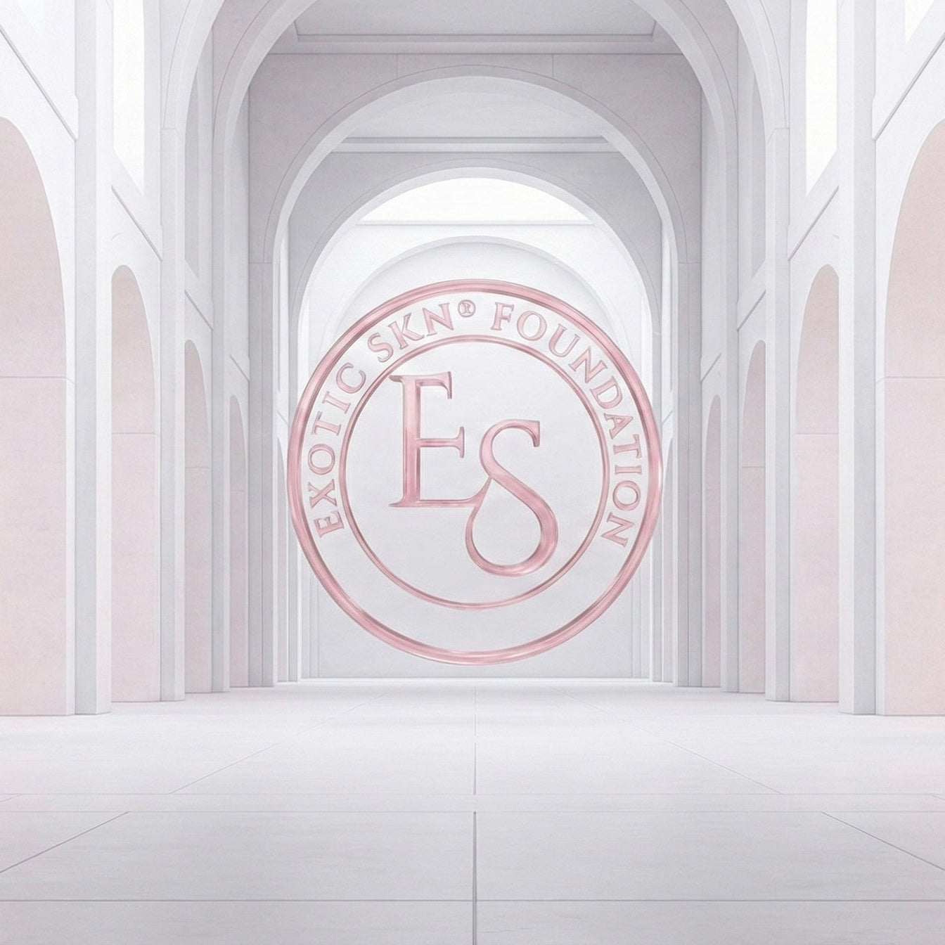 THE FOUNDATION CONTRIBUTION