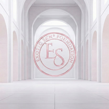 THE FOUNDATION CONTRIBUTION