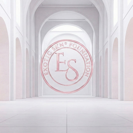 THE FOUNDATION CONTRIBUTION